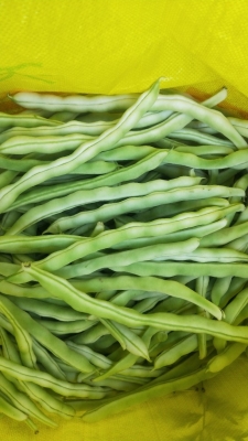 赤峰鹿茸血批發(fā)商家電話號碼-第1張圖片