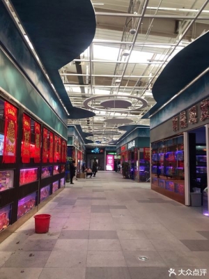 赤峰寵物水族館電話多少號(hào)-第1張圖片