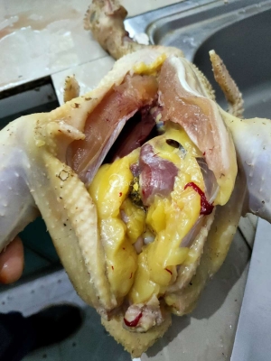 赤峰賣鴿子蛋電話號(hào)碼多少啊-第1張圖片