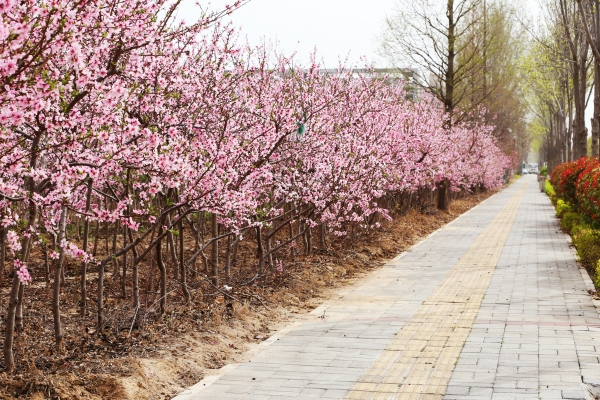 滑縣到赤峰直通車電話查詢號(hào)碼-第1張圖片