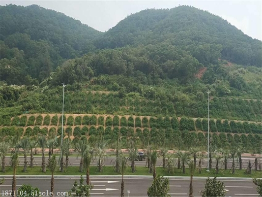 赤峰市賣草種的地方電話是多少-第1張圖片