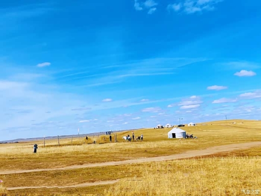 赤峰市收毛驢電話是多少號-第1張圖片