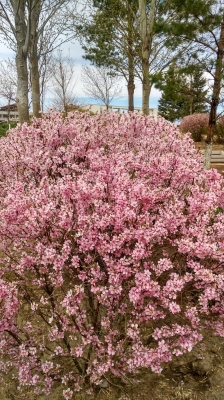 赤峰林東鎮(zhèn)防控局電話號(hào)碼-第1張圖片