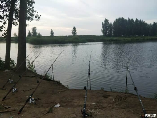 赤峰烤肉帝豪店電話號碼多少-第1張圖片