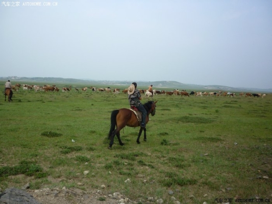 赤峰到沽源公交車電話號碼是多少-第1張圖片