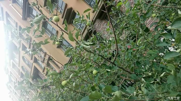 赤峰西烏旗客運(yùn)站電話號(hào)碼-第1張圖片