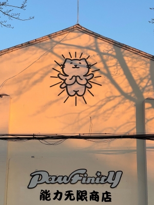 赤峰貓咖酒吧電話地址是多少號-第1張圖片