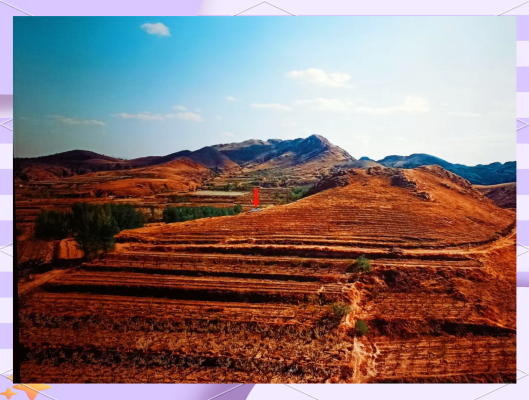 赤峰博物館南管館地址電話號碼-第1張圖片