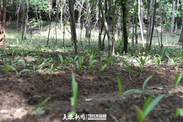 赤峰時興農(nóng)具專賣店電話號碼-第1張圖片