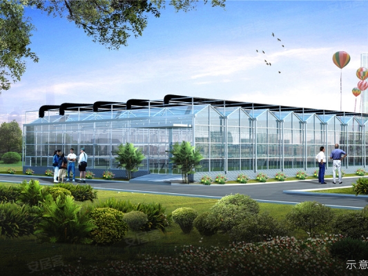 赤峰有機(jī)蔬菜農(nóng)場電話多少號-第1張圖片