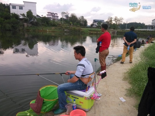 赤峰市釣魚直播平臺電話號碼-第1張圖片