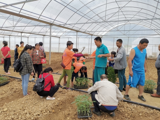 赤峰雙贏化肥廠電話號碼查詢-第1張圖片