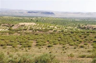 赤峰市林西縣擺攤電話號碼-第1張圖片