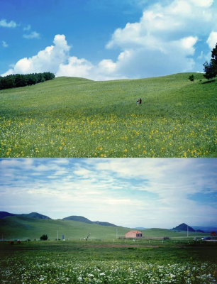 薊州區(qū)到赤峰拼車電話號碼-第1張圖片