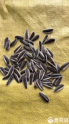 赤峰市葵瓜子批發(fā)電話號(hào)碼-第1張圖片