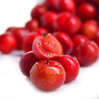 赤峰高紅鈣果基地地址電話號碼-第1張圖片