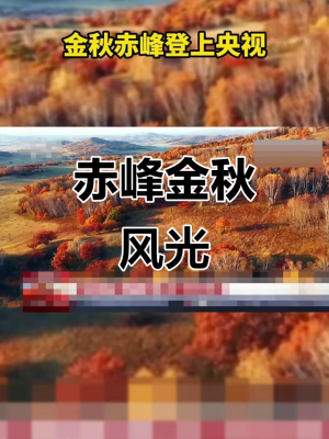 赤峰森瀾商貿有限公司電話號碼-第1張圖片