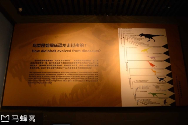 赤峰送車七夕電話地址查詢-第1張圖片