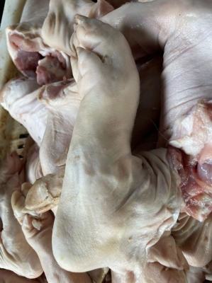 赤峰豬蹄子批發(fā)市場電話號碼-第1張圖片