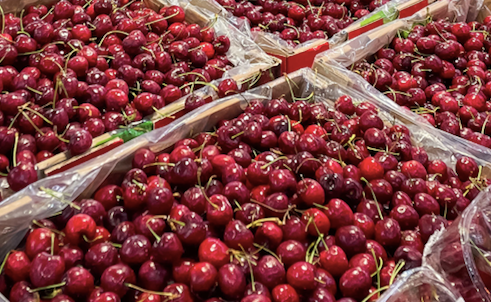 赤峰車?yán)遄拥赇侂娫捥柎a查詢-第1張圖片