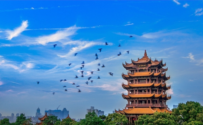 赤峰賓館鶴祥樓電話號碼多少-第1張圖片