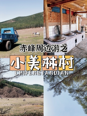 赤峰麗娜燒烤地址電話多少號-第1張圖片