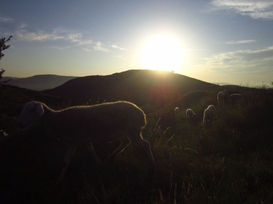 赤峰佳能實體店電話號碼查詢-第1張圖片