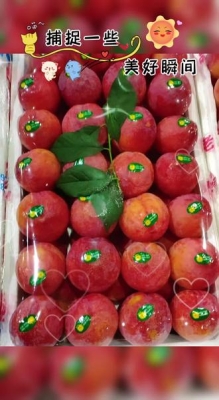 赤峰市水果-第1張圖片