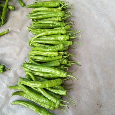 赤峰小張蔬菜批發(fā)電話多少號(hào)-第1張圖片