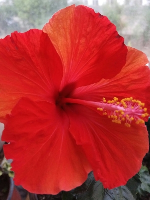 赤峰錦山麻將機售后電話號碼-第1張圖片