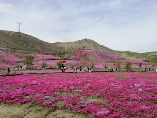 赤峰佳慕釣魚臺電話號碼-第1張圖片