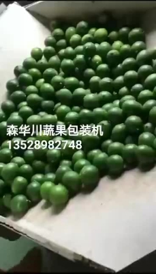 赤峰柑橘包裝機(jī)廠家電話號(hào)碼-第1張圖片