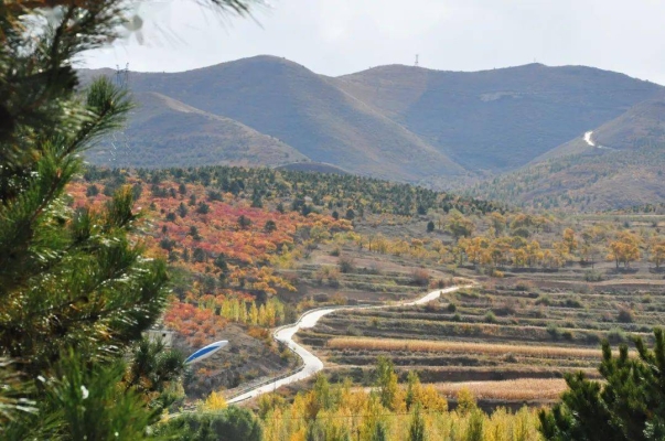 赤峰市開花廠電話號(hào)碼查詢-第1張圖片