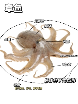 赤峰凌記魷魚館電話號(hào)碼查詢-第1張圖片