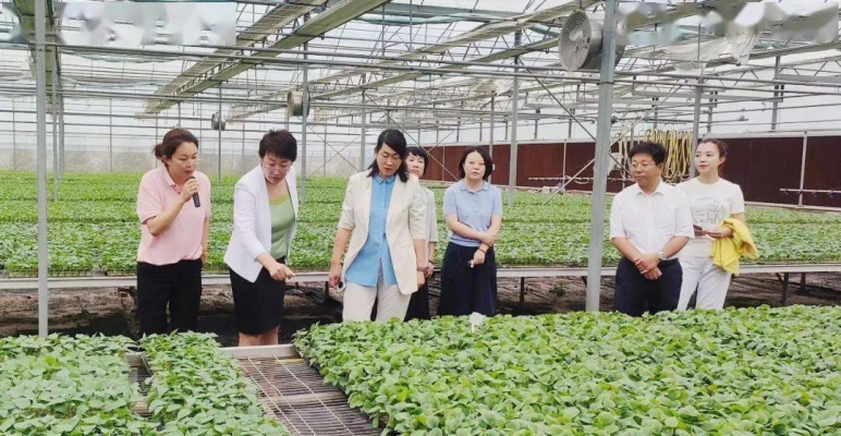 赤峰東榮集團辦公室電話號碼-第1張圖片