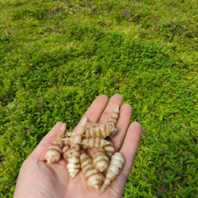 赤峰哪里有批發(fā)螺絲的-第1張圖片