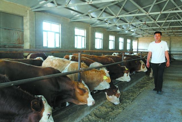 赤峰馬車出租電話號(hào)碼是多少號(hào)-第1張圖片