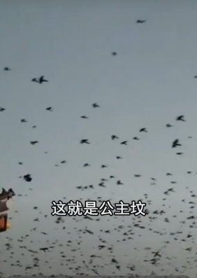 內(nèi)蒙赤峰鞭炮廠電話多少號-第1張圖片