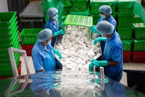 赤峰送椰子水的電話號(hào)碼是多少-第1張圖片