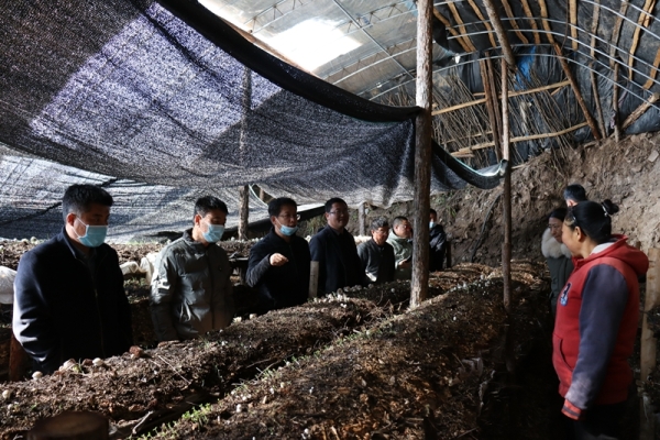 赤峰食用菌合作社電話號(hào)碼-第1張圖片