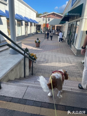 赤峰奧萊奢侈品館電話號碼-第1張圖片