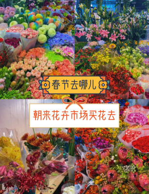 赤峰花卉市場(chǎng)買花的電話是多少-第1張圖片