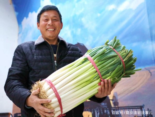 赤峰老楊大蔥批發(fā)電話是多少號-第1張圖片