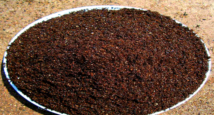 內(nèi)蒙草炭土-第1張圖片