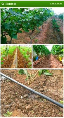 赤峰市里滴灌帶廠家電話號碼-第1張圖片