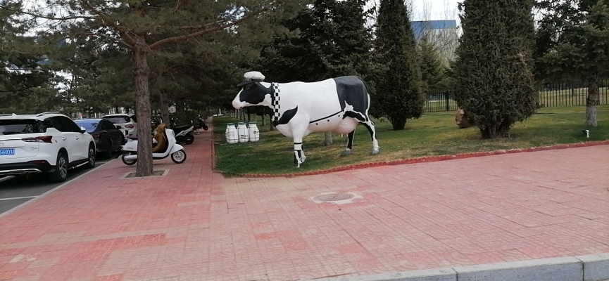 赤峰白石頭溝旅游區(qū)電話號碼-第1張圖片