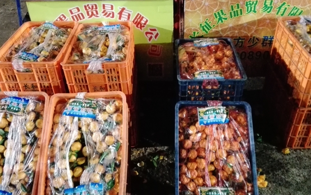 赤峰市水果代賣公司電話號(hào)碼-第1張圖片