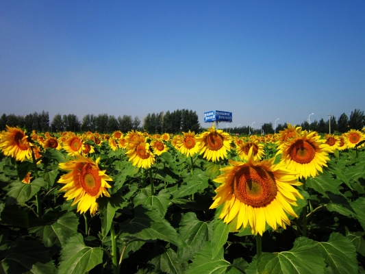 赤峰紅山區(qū)海川教育電話號碼-第1張圖片