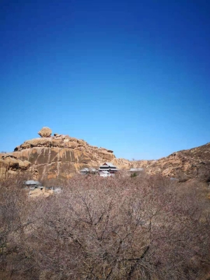 巴林左旗豬場(chǎng)-第1張圖片