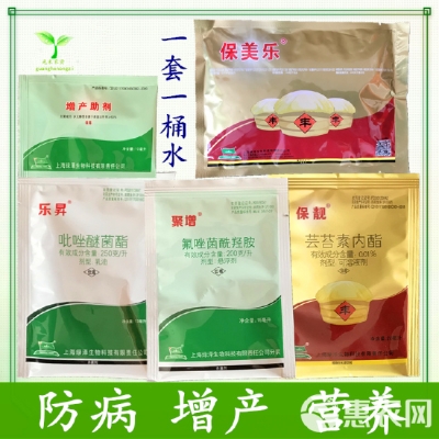 赤峰蔬菜袋批發(fā)電話(huà)號(hào)碼查詢(xún)-第1張圖片